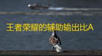 王者荣耀的辅助输出比ADC更强。 人们责怪我杀人并退出游戏？